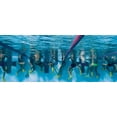 thumbnail image 4 of FINIS Zoomers Gold C (Euro 35-36), 4 of 7