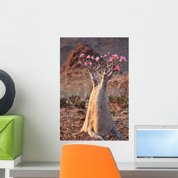 Bottle Tree Adenium Obesum Wall Mural by Wallmonkeys Peel and Stick Graphic (18 in H x 12 in W) WM147557
