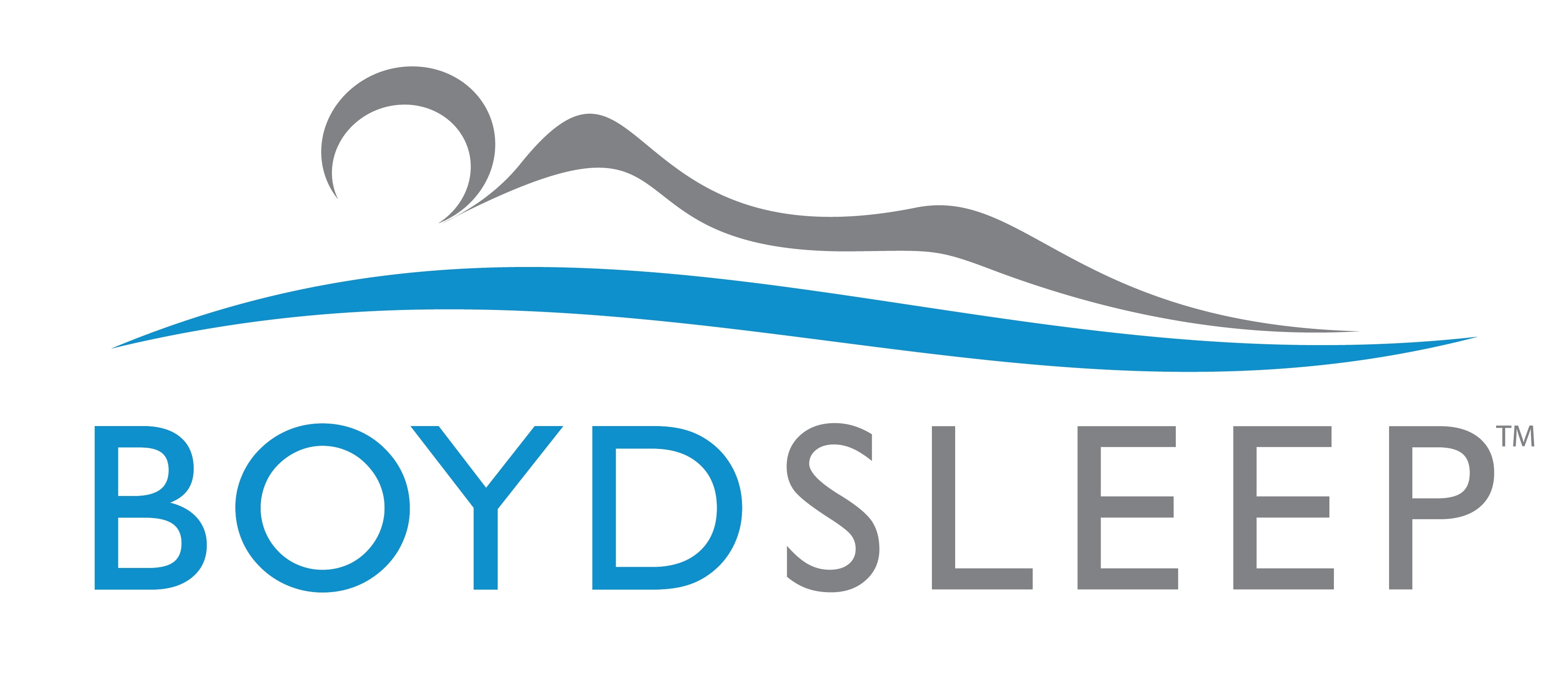 Boyd Sleep Premium Mattress Encasement, King