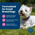 thumbnail image 5 of Blue Buffalo Life Protection Formula Small Breed Dry Dog Food Chicken & Brown Rice 15 lbs., 5 of 12
