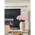 thumbnail image 5 of 16PCS Pink Carnations Artificial Flowers 14.8'' Fake Carnation Silk Flowers with Single Stem Faux Carnations Flowers for Home Table Centerpiece Wedding Decor Floral Arrangements (Light Pink), 5 of 14