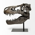 thumbnail image 4 of Mercana Lagrane Metal Replica Dinosaur Tyrannosaurus Black/Brass T-Rex Skull, 4 of 9
