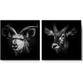 thumbnail image 3 of PixonSign Canvas Print Wall Art High Contrast Kudu & Goat Close-Up Animals Wildlife Photography Realism Romantics Dramatic Dark Black and White for Living Room, Bedroom, Office - 24"x24" x 2, 3 of 5