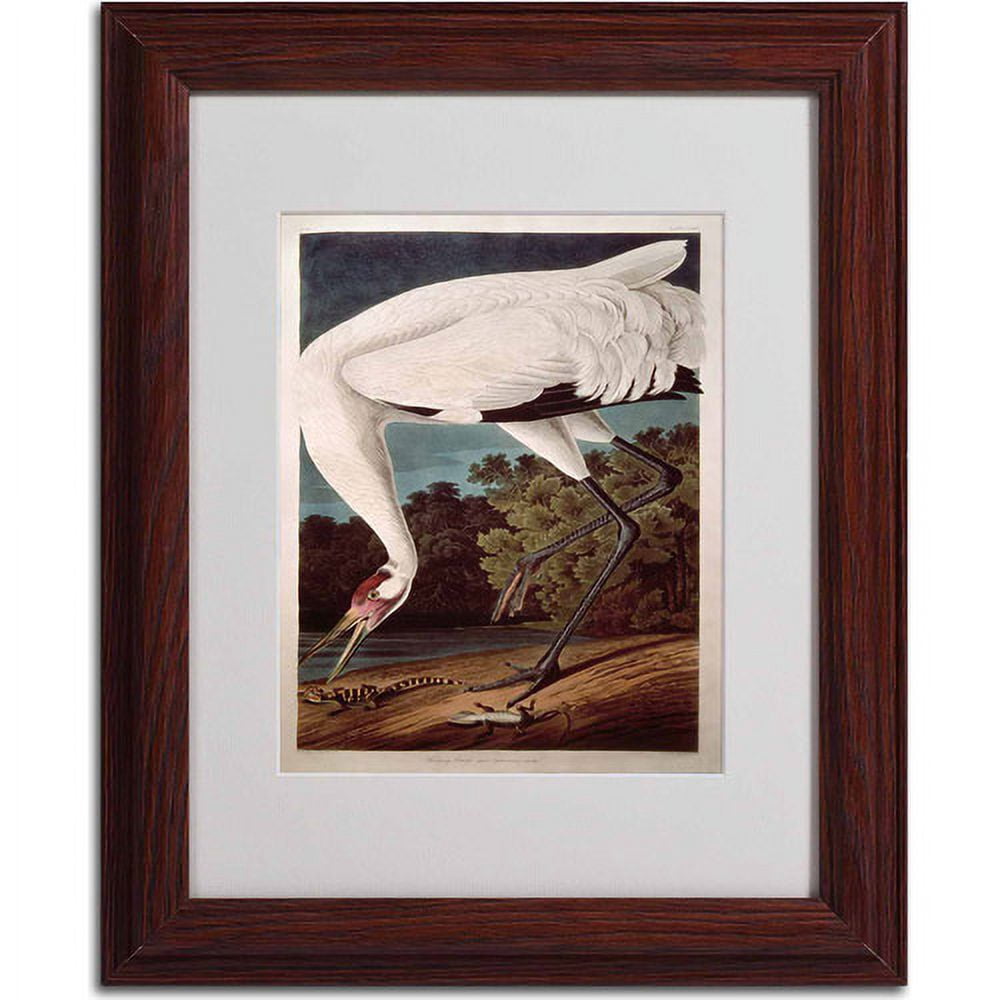 Trademark Fine Art "Whooping Crane" Canvas Art by John James Audubon, Wood Frame