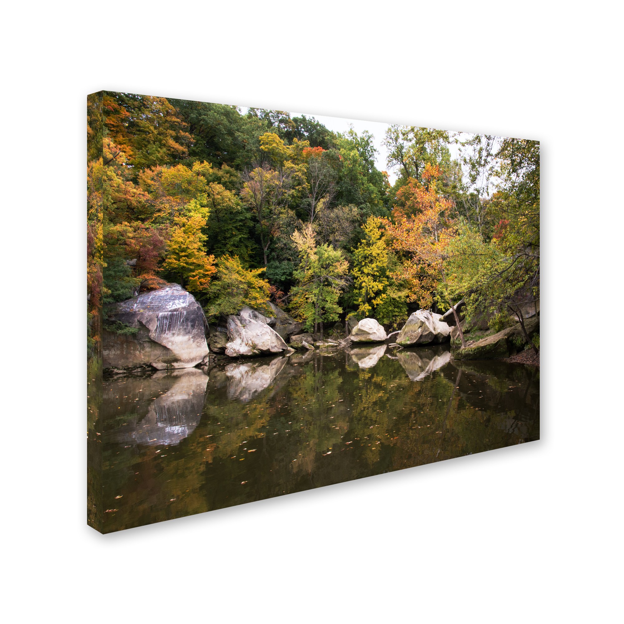Trademark Fine Art "Graffiti Fall" Canvas Art by Kurt Shaffer