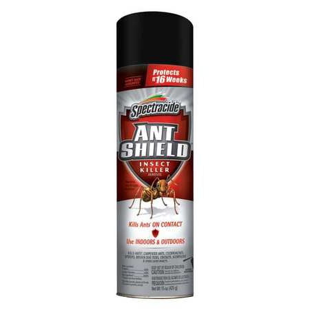 15 oz. Aerosol Indoor/Outdoor Ant Killer (Best Indoor Ant Killer Product)