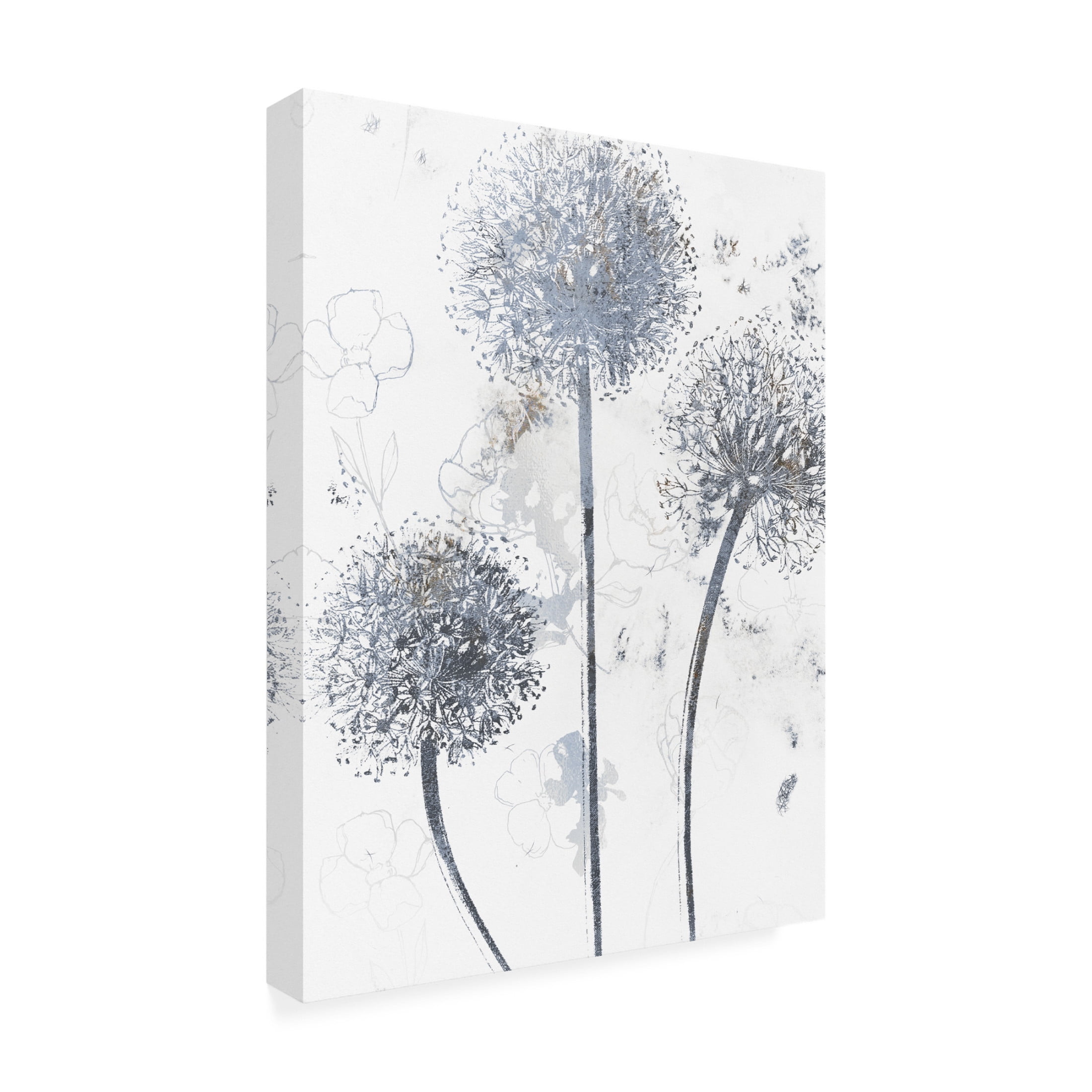 Canvas Wall Art - Sasha 'Wedgewood Allium' Wall Art for Living Room, Bedroom, or Office Décor by Trademark Fine Art - 14 x 19 Inches