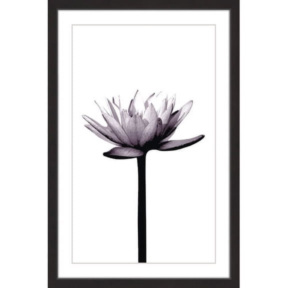 Marmont Hill "Opened Petals" by Katarina Snygg Framed Painting Print