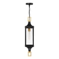 thumbnail image 3 of Glendale 1-Light Outdoor Hanging Lantern in Matte Black and Weathered Brushed Brass, 3 of 5