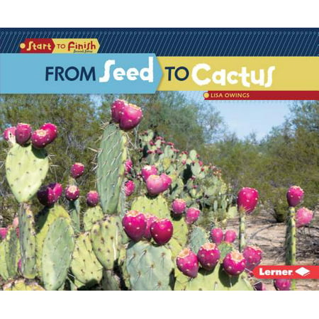 From Seed to Cactus