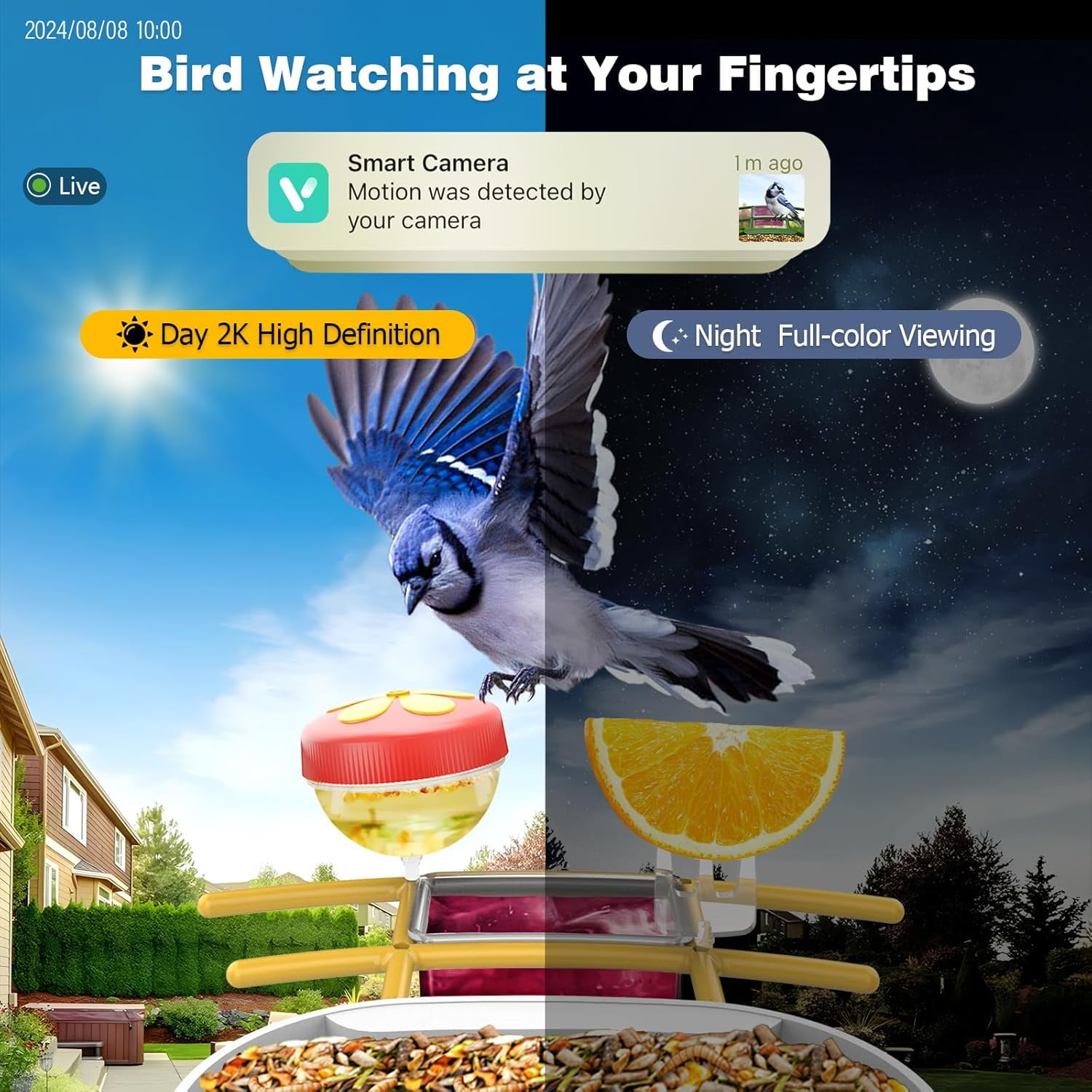 Asivwid Bird Feeder with Camera, Smart Bird Camera with Solar Panel, AI Identify 10000+ Species, - Auto Capture Videos, Gifts for Birdlovers Mom Dad