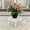 White, variant on Plant Stand for Flower Pot Heavy Duty Potted Holder Indoor Outdoor, Metal Rustproof Iron Garden Container Round Supports Rack for Planter, 10 Inches