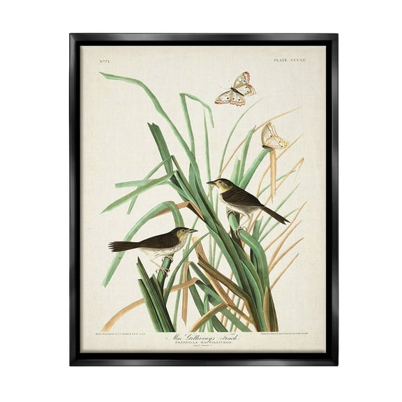 Stupell Industries Traditional Nature Study Animals & Insects Painting Black Floater Framed Canvas Art Print Wall Art, 17 x 21