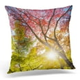 thumbnail image 1 of BSDHOME Green Japanese Colorful Autunm Treetops Orange Autumn Pillows case 18x18 Inches Home Decor Sofa Cushion Cover, 1 of 1