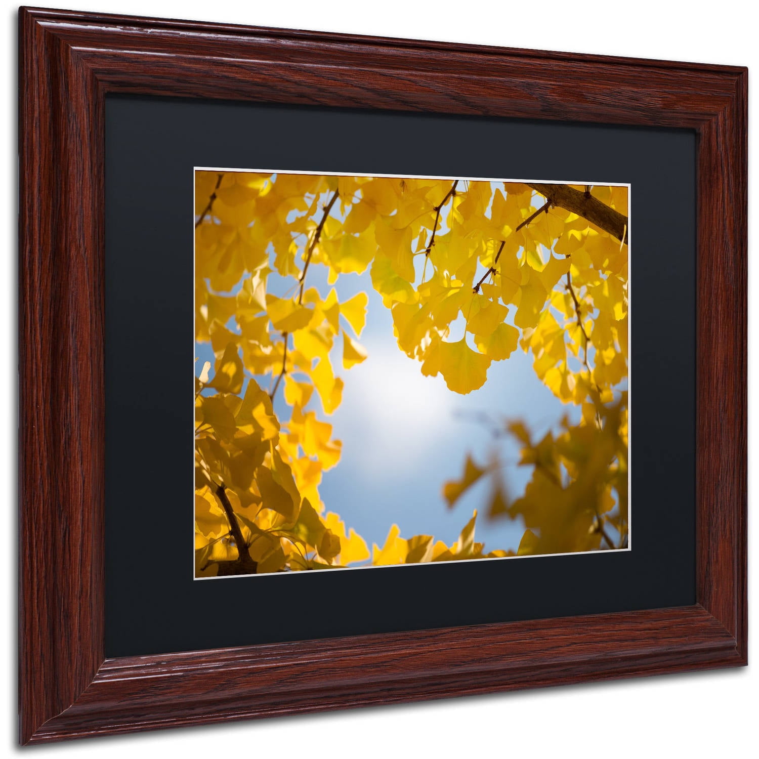Trademark Fine Art "Ginkgo Leaves in Autumn" Canvas Art by Philippe Sainte-Laudy Black Matte, Wood Frame