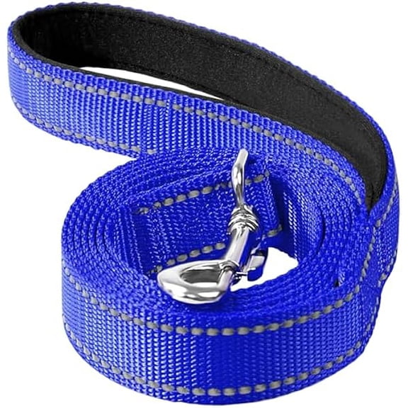 Eryueer Reflective Dog Leash 4ft Soft Padded Handle Nylon Lead for Small & Medium Dogs, Durable Walking Training Leash for Night Safety (Royal Blue,3/4Inch Wide)