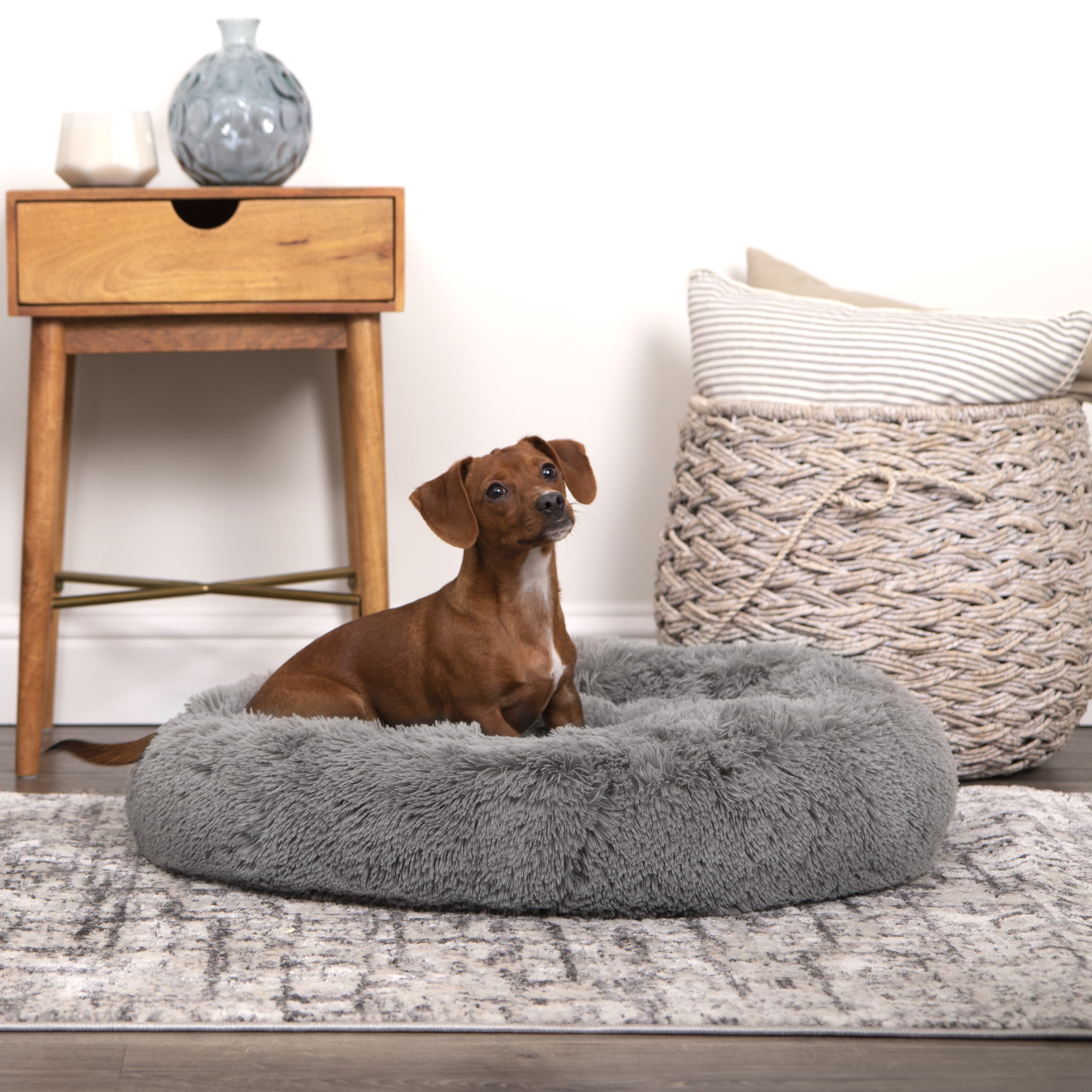 (2 pack) Vibrant Life Easy Lounger Mattress Edition Dog Bed, Small, 24"x24", up to 35lbs