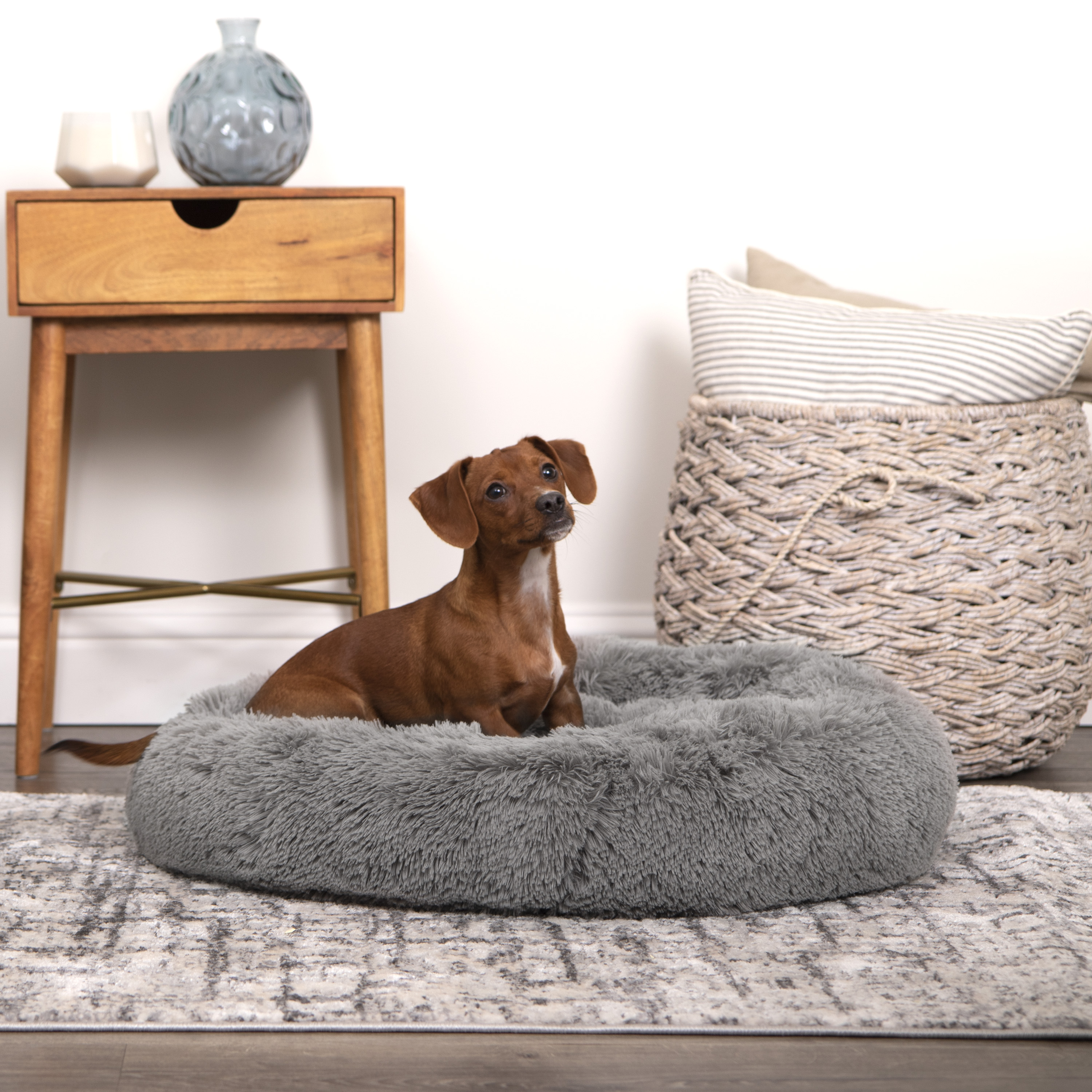 Vibrant Life Easy Lounger Mattress Edition Dog Bed photo 2