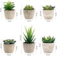 thumbnail image 2 of Planta Artificial Interior 6 Piezas, Plantas Falsas con Maceta Gris Decoración de Césped Artificial para Bodas al Aire Libre Mesa de Oficina Jardín Nuevo Regalo para el Hogar, Pequeñas Suculentas, 2 of 7