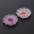 thumbnail image 1 of 2 Botones de Flores Secas de Cristal para Manualidades de Costura de Ropa de álbum de Recortes de Bricolaje Baoblaze Flores de cristal para manualidades, 1 of 8