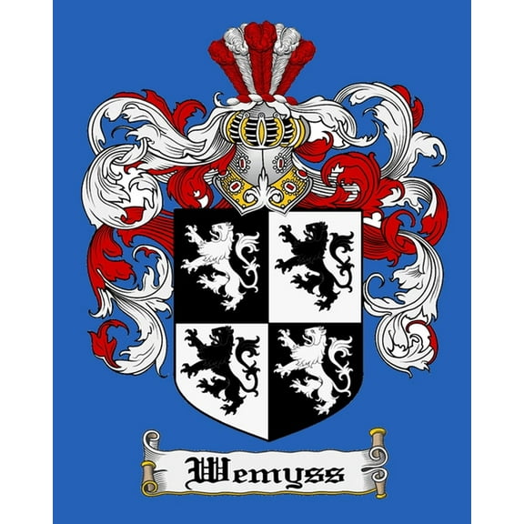 Wemyss of Ireland (Paperback)