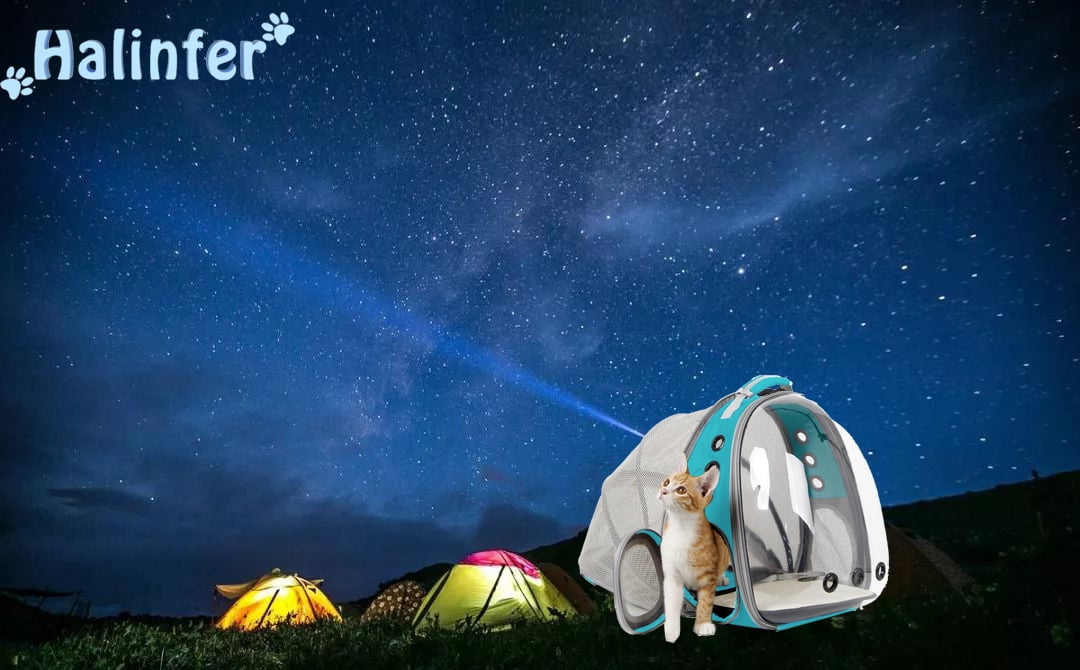Halinfer Back Expandable Cat Backpack Carrier, Fit up to 12 lbs, Space Capsule Bubble Window Pet Carrier Backpack for Cat and Small Puppy