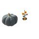 thumbnail image 1 of Almohadas de calabaza de Halloween,Almohadas de calabaza de Halloween Decoración del hogar Suave,Soporte de papel higiénico,Porta toallas de papel con forma de girasol para, 1 of 8