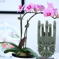 thumbnail image 1 of 2.5 X 1.2 Cm Plant Support Clip, Fixing Support Clips Tool Garden Accessories Courtyard Flower For Flower Market Greenhouse With Pin In Clip, 1 of 8