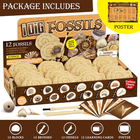 Piano Potato Fossil Dig Kit, dig up 12 Real Fossils & Dinosaur Bones Rocks, Paleontology STEM Science Toy, Birthday Gift for Boys & Girls Ages 6 