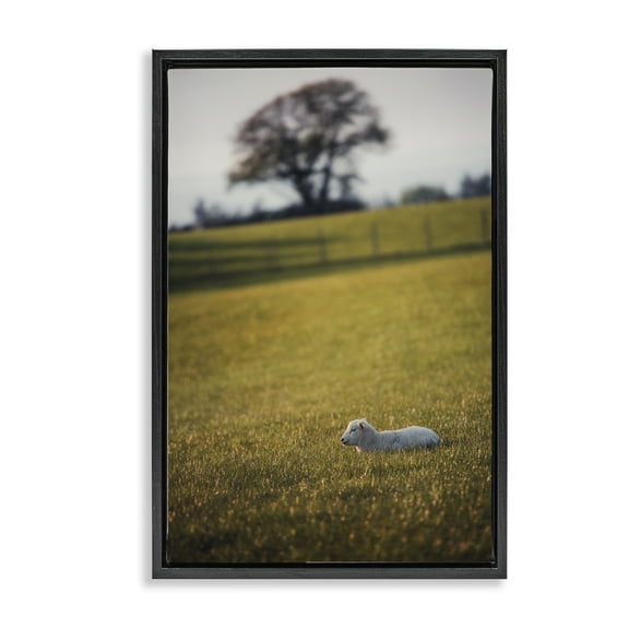 Stupell Industries Lamb in Lush Farmland Landscape & Nature Photography Black Floater Framed Canvas Art Print Wall Art, 17 x 25