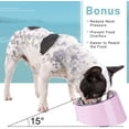 thumbnail image 2 of Cuenco para perros y gatos de 17,5x7,5 CM, cuenco inclinado antideslizante, cuenco moderno para perros con cuenco desmontable de acero inoxidable JAMW Sencillez, 2 of 5