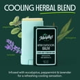 thumbnail image 2 of Murphy's Naturals After Outdoors Cooling Balm Stick, Soothes and Calms Skin with Essential Oils, Fast Acting & Easy Application, .5oz Stick (3 Pack), 2 of 10