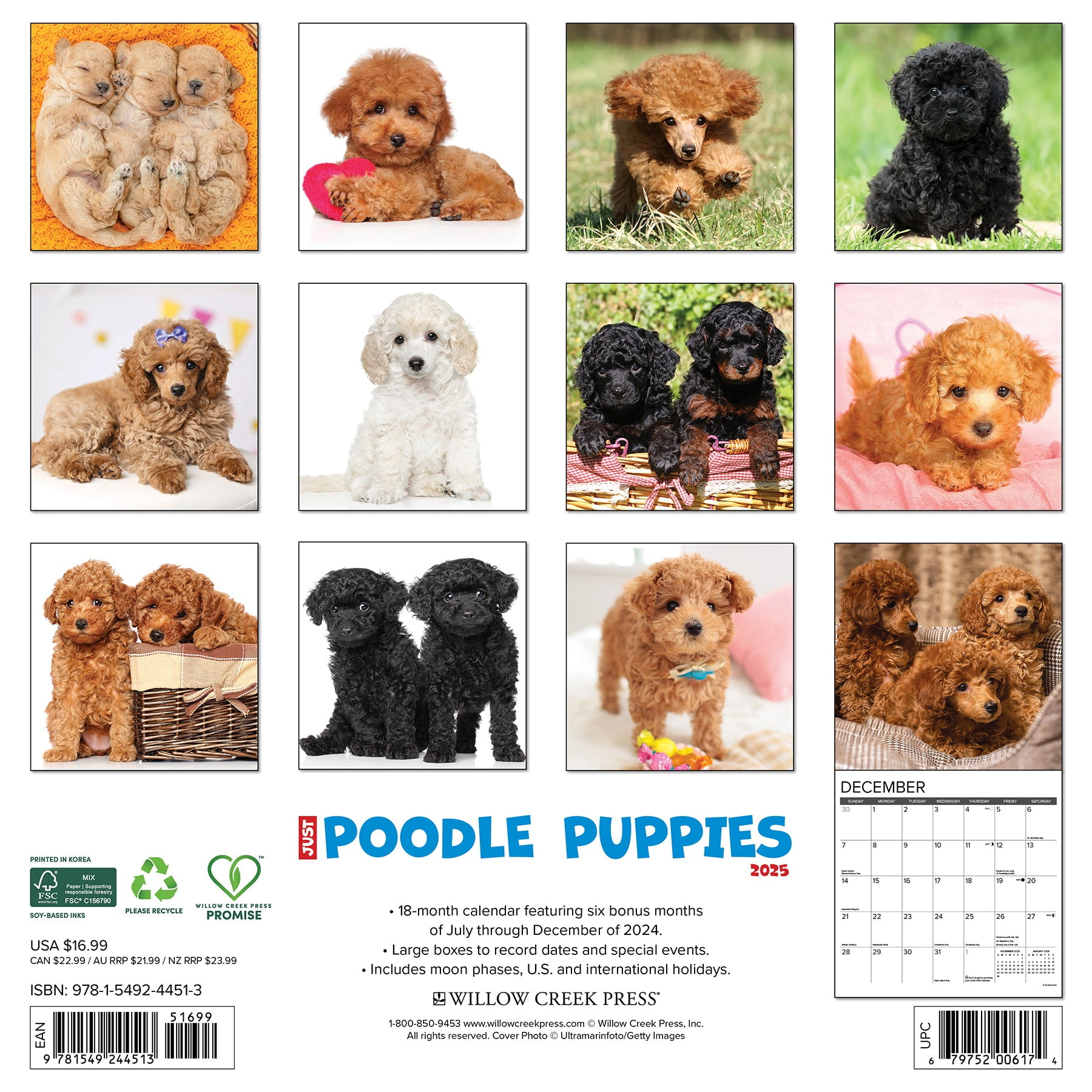 最も信頼できる 0e11e65b-3d29-44d7-8e18- Pets&AnimalCare
