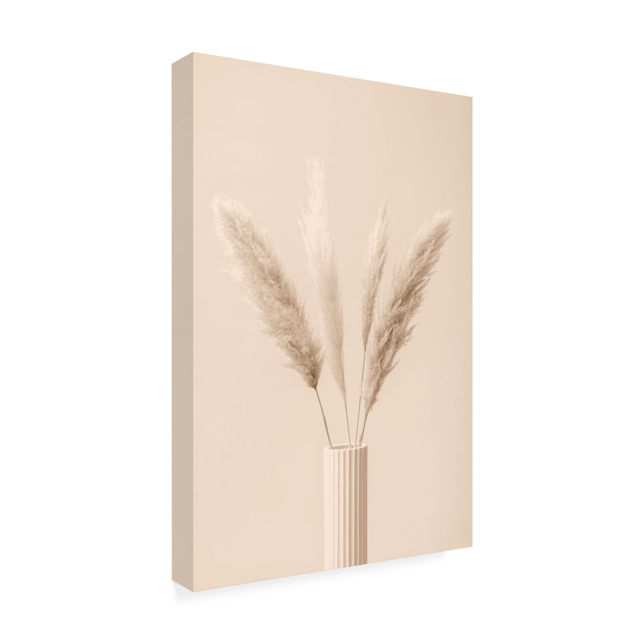 Trademark Fine Art Pictufy Studio Pampas Grass Beige 09 Canvas Wall Art