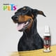 thumbnail image 2 of Colonia Wild 125ml Perro Macho Fragancia Flores Fancy Pets Fancy Pets FL3940, 2 of 2