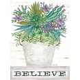 thumbnail image 2 of Jacobs, Cindy 25x32 Gold Ornate Wood Framed with Double Matting Museum Art Print Titled - Believe Succulents, 2 of 4