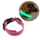 thumbnail image 4 of Collar para mascotas Iluminación LED Suministros para mascotas ABS Recargable Prevención de accidentes Herramientas anti-perdida Collares Actividades de seguridad Batería USB Rosa M AweSitey PT000654-68, 4 of 7