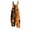 #01Ginger, variant on Neon Rainbow Pumpkin Star Bat Halloween Graphic Womens Adjustable Tie Strap Overalls Multicolor 3XL