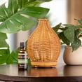 thumbnail image 2 of Sparoom BohoMist Ultrasonic Essential Oil Aromatherapy Diffuser - Automatic Safety Shut off - 70 ml. Water Capacity, 2 of 4