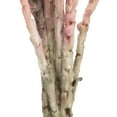thumbnail image 4 of Vickerman 13-14" Light Pink Everlasting Flowers, approximately 23 blooms, Dried, 4 of 4