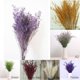 thumbnail image 2 of Almacén virtual Arreglo floral de hierba para amantes Plantas artísticas hechas a mano Flores secas naturales Nomeolvides 1 paquete Borgoña Shopeej Embargoed ANGGREK  Otros, 2 of 3
