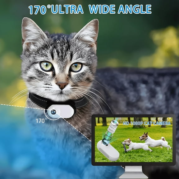 1080P Pet Collar Camera Tracker: No WiFi Required | Mini Wireless Action Cam for Dogs/Cats | Video Recording, Indoor/Outdoor | Essential Pet Supplies | Great Birthday Gift