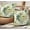 Green&beige, variant on Floral Pillow Covers Set of 2 Green Yellow Beige Peony Throw Pillow Cover Soft Vintage Botanical Accent Flower Decorative Couch Cushion Cover for Bed Living Room Chair Sofa Pillow Cases 16x16 Inch