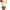 White, variant on ShomPort Women's Maternity Shorts Pregnancy Lounge Pants Comfy Stretchy Pregnancy Sleep Pajama Shorts Under Dress