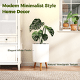 thumbnail image 3 of GENTINGBRO Self Watering Pots for Indoor Plants with Water Level Indicator 10 inch Plant Pot Plastic Planter with Wooden Stand for Outdoor Plants Modern Décor for Porch Patio White Medium, 3 of 7