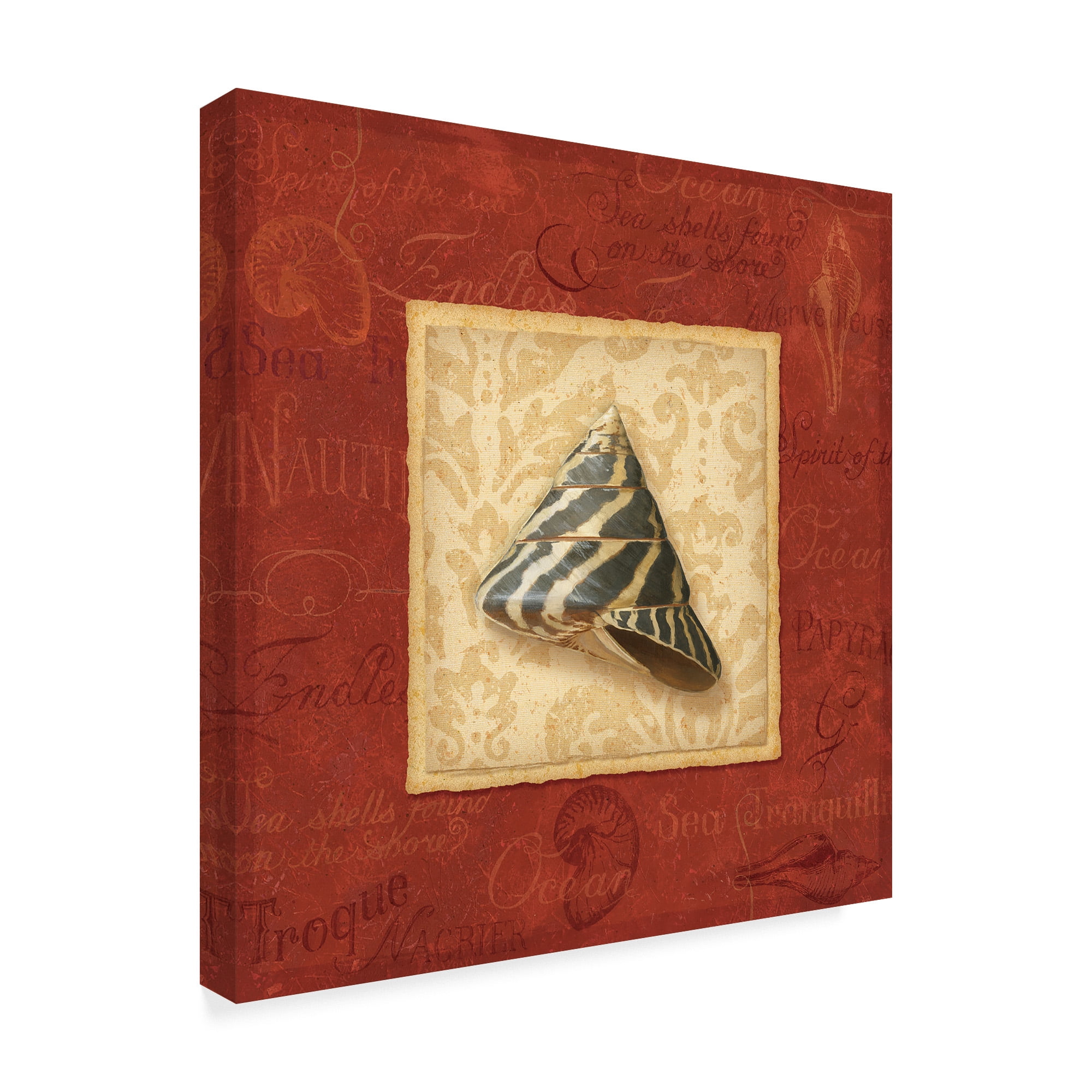 Trademark Fine Art 'Red Frame Shell II' Canvas Art by Lisa Audit