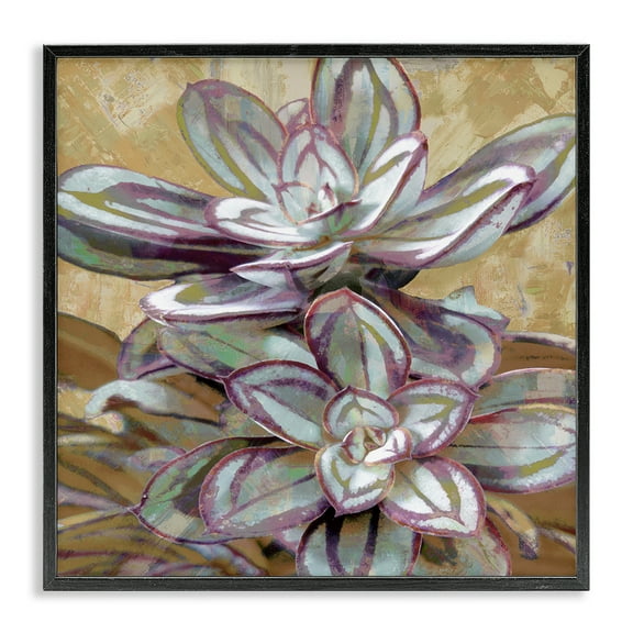 Stupell Industries Rustic Desert Succulents Plants & Flowers Painting Black Framed Art Print Wall Art, 12 x 12