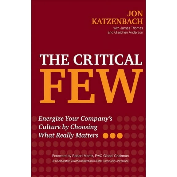 The Critical Few : Energize Your Company's Culture by Choosing What Really Matters (Hardcover)
