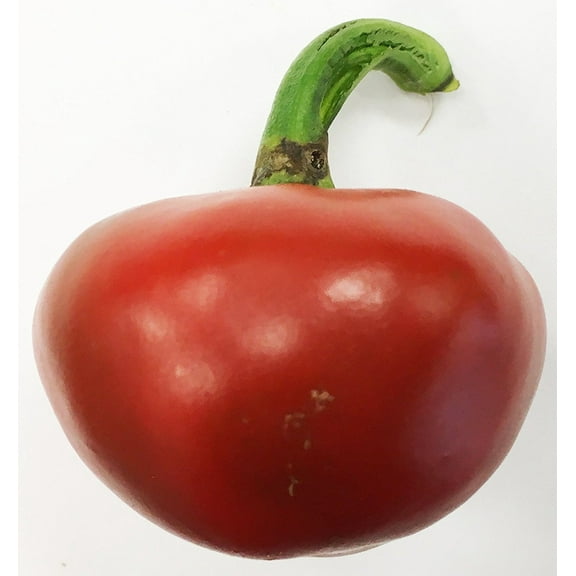 Nora Basque Heirloom Pepper Premium Seeds Packet