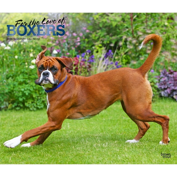 For the Love of Boxers | 2026 14x24" (Hanging) Deluxe Wall Calendar | Plastic-Free